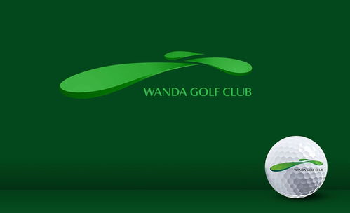 同道服务 深圳品牌VI设计与广告创意的领航者